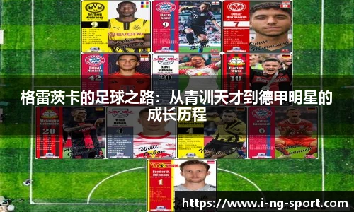 NG体育官网
